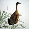 image06
