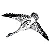image22