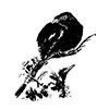 image27