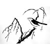 image31