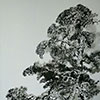 image99