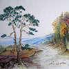 image11